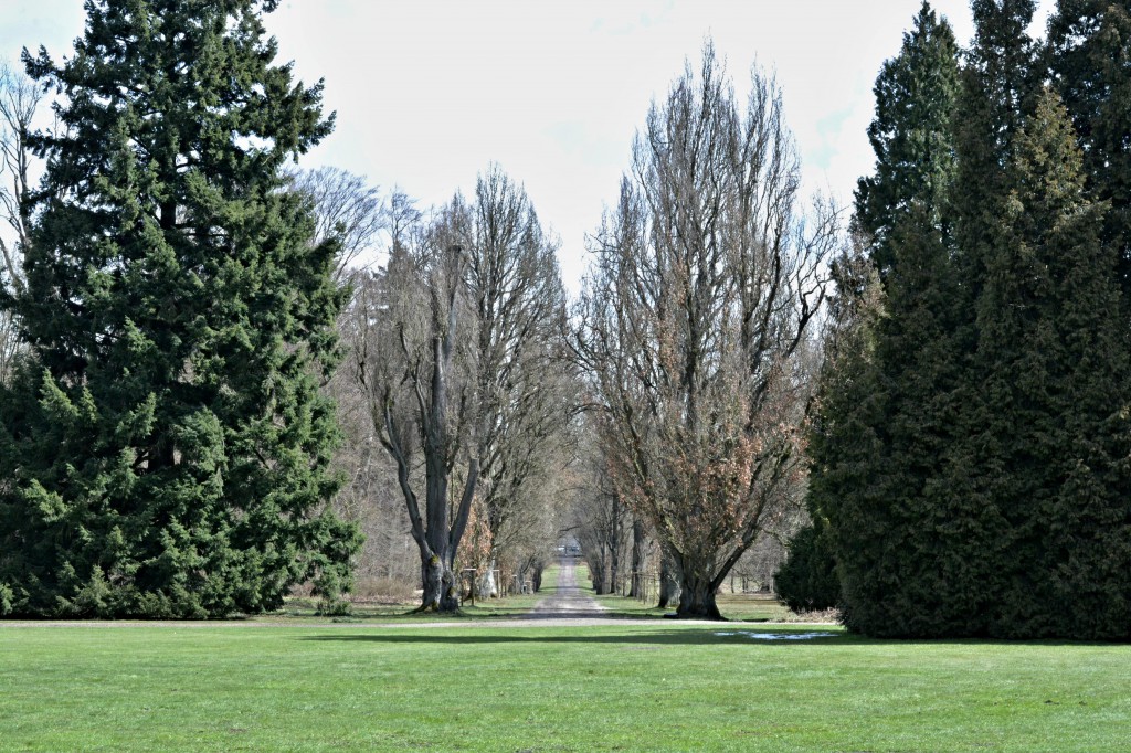 DSC_9152
