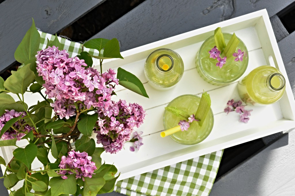 Rebarborová limonáda