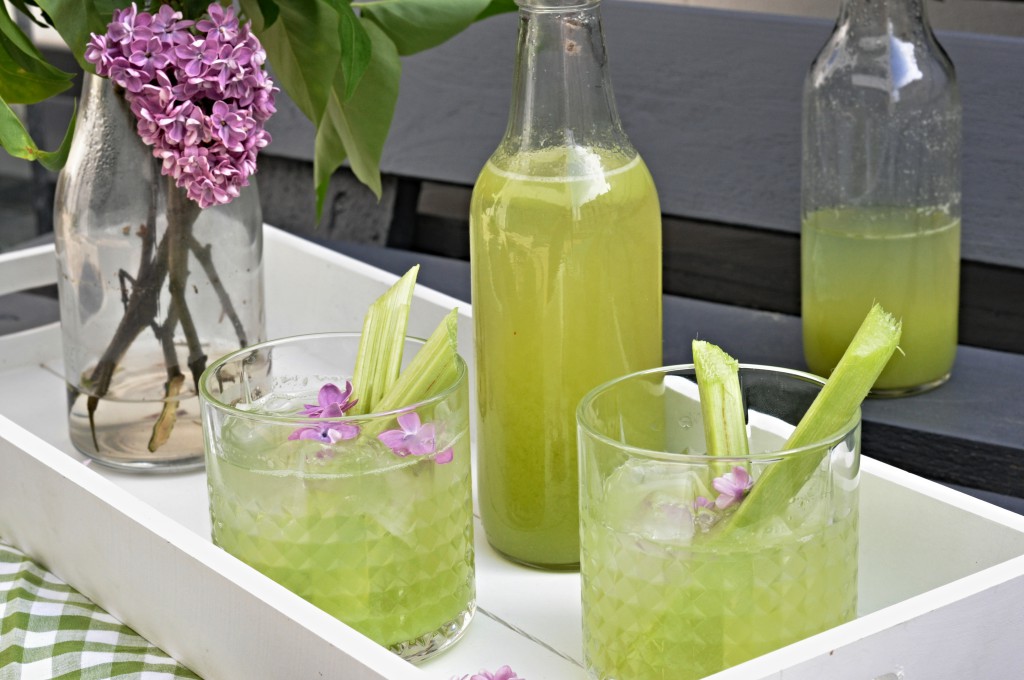 Rebarborová limonáda